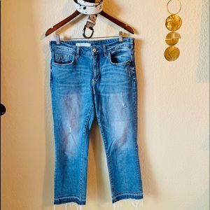 Anthropologie Pilcro And The Letterpress Jeans 30